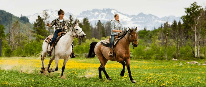 Confident plus-size woman riding Clifton a horse through a field with a smile on her face.